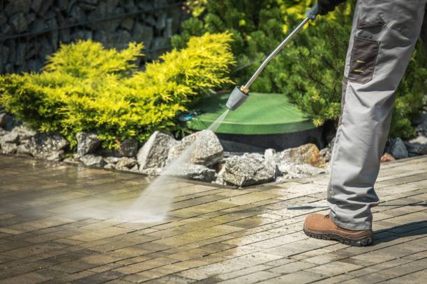 Best Soft Washing for Delicate Surfaces in King City, CA